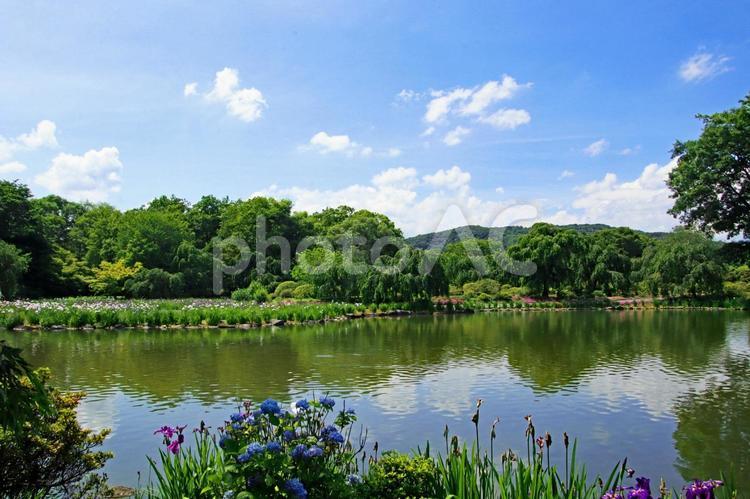 公園や自然のイメージ 公園,自然,旅の写真素材