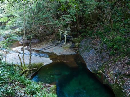 龍鎮神社 龍鎮神社,神社,鳥居の写真素材