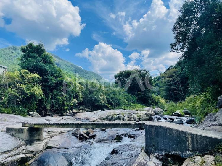 田舎の原風景 木,川,風景の写真素材