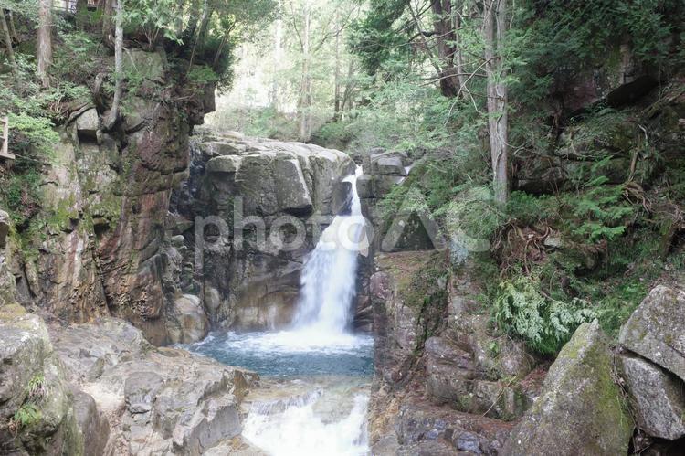 森の中の滝 滝,水,瀧の写真素材