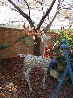 クリスマス クリスマスの写真