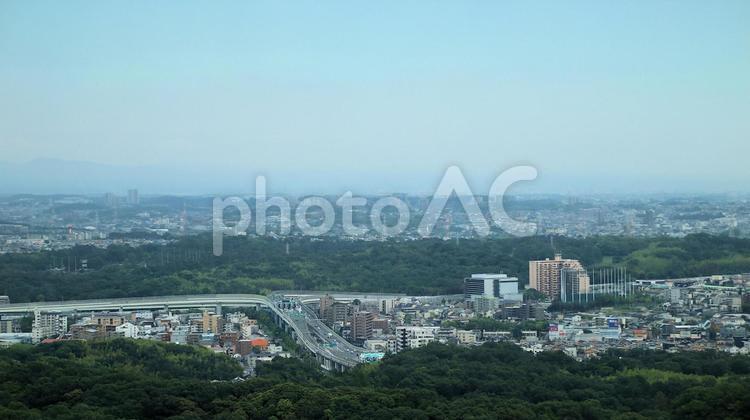 東山スカイタワーから望む五月の名古屋市内 眺望,市街地,初夏の写真素材