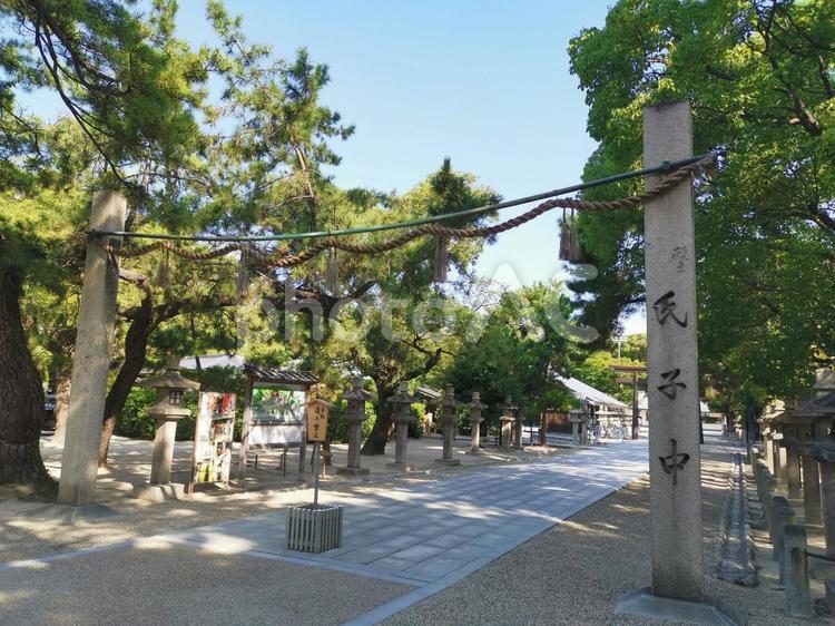 えびす宮総本山　西宮神社　参道 西宮神社,えびす宮総本山,鳥居の写真素材