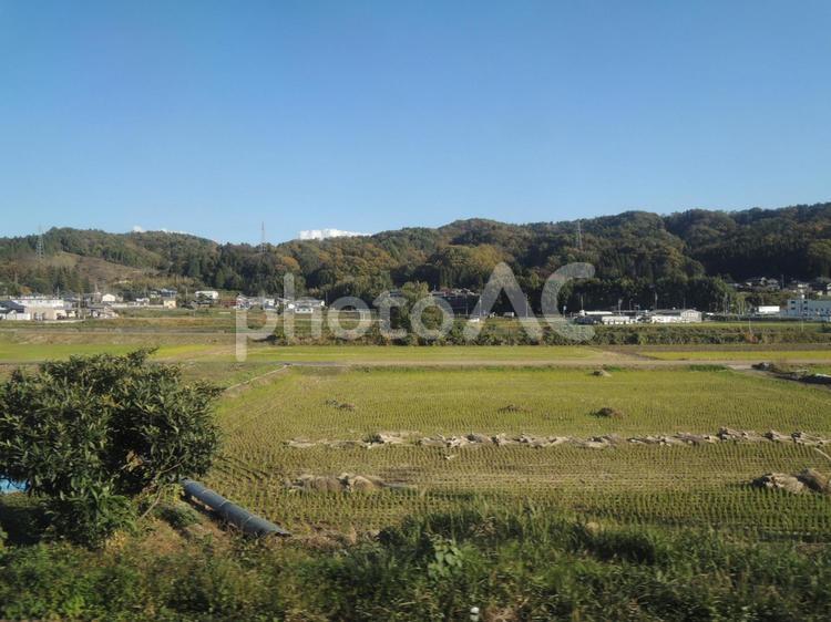 車窓から　稲刈り後 稲刈り後,雑木林,秋の写真素材