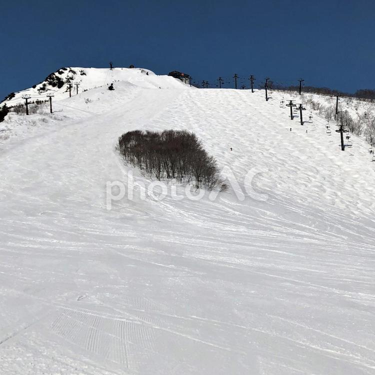 スキー場　ゲレンデ風景 スキー場,八方尾根,ゲレンデの写真素材