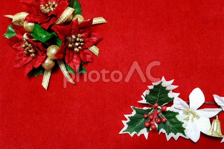 クリスマス　テクスチャ　背景　壁紙　素材　イメージ クリスマス,ポイントセチア,背景素材の写真素材