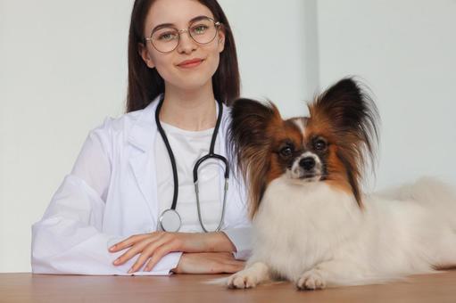 ペットと聴診器をつけた女性の笑顔 保険,契約,ペット保険の写真素材
