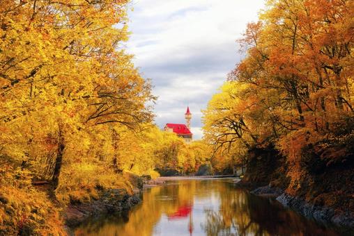 秋の滝上町の風景 秋の滝上町の風景 滝上町,紅葉,秋の写真素材