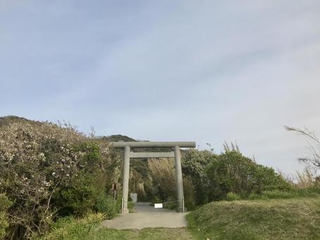 洲崎神社浜鳥居 洲崎神社浜鳥居 洲崎神社,浜鳥居,鳥居の写真素材