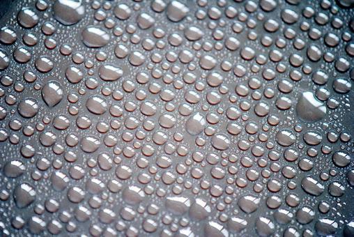 車のボディーにできた雨の水玉 車のボディーにできた雨の水玉の写真