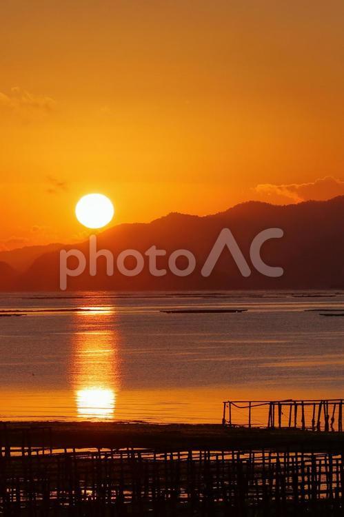 日の出と牡蛎いかだ-2 日の出,朝日,朝焼けの写真素材