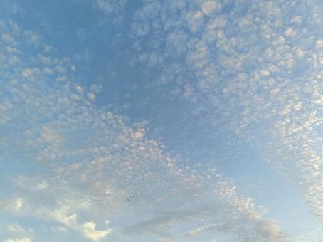 Scaly clouds covering the sky, JPG