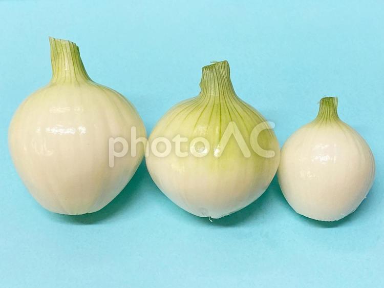 並んだ皮を剥いた玉ねぎ 根野菜,vegetable,ベジタブルの写真素材