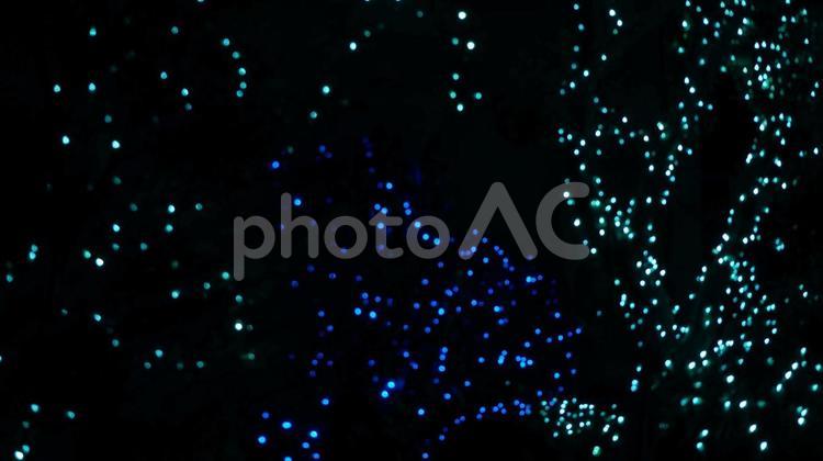 冬のイルミネーション。細かい玉ボケ夜景 イルミネーション,細かい,玉ボケの写真素材