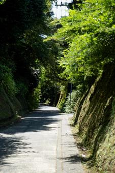 ［神奈川県鎌倉市］亀ケ谷坂切通の写真