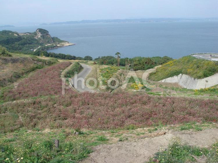 海、田んぼ、畑、手島、瀬戸内、瀬戸内海 海,田んぼ,畑の写真素材