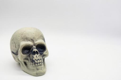 ホラーやハロウィンに使える頭蓋骨 髑髏,スカル,骸骨の写真素材