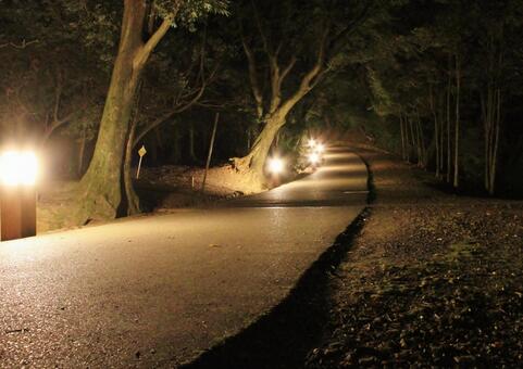 若草山 夜景 若草山 夜景の写真