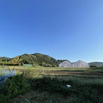 風景 風景 そら,景色,風景の写真素材