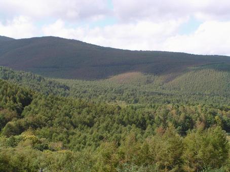 長野　松本　美ヶ原の写真