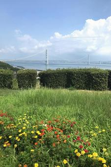 明石海峡大橋 明石海峡大橋の写真