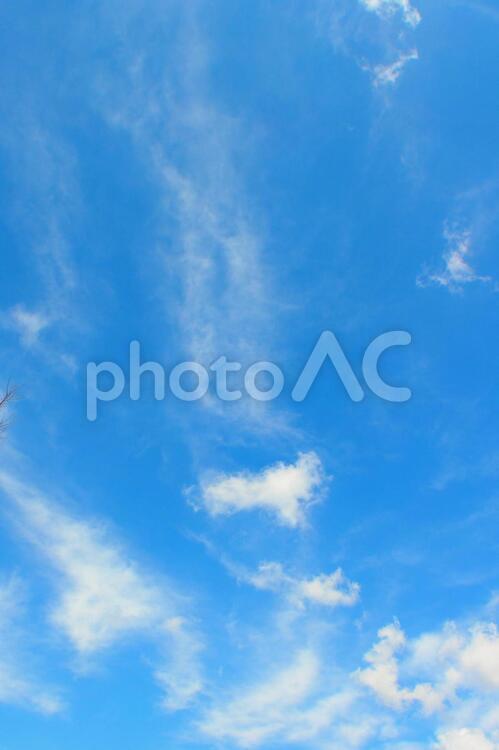 見上げた青空と雲 背景,テクスチャ,青空の写真素材