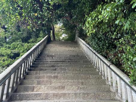 竹島 神社 竹島 神社 竹島,八百富神社,八大龍神社の写真素材