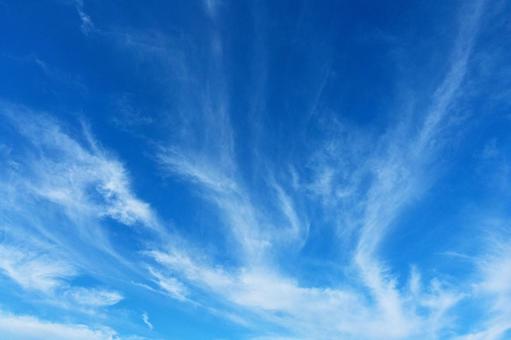 爽やかな 秋の青空 爽やかな 秋の青空の写真
