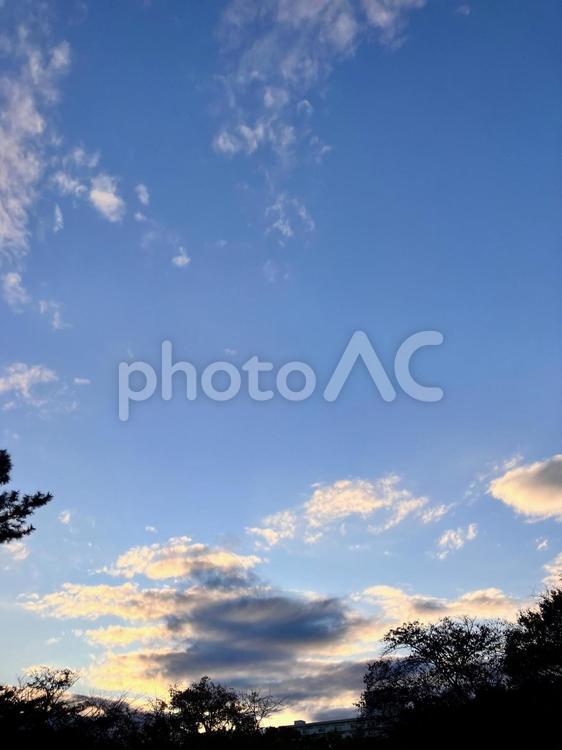 暮れゆく空と雲と木々 空,自然,木の写真素材