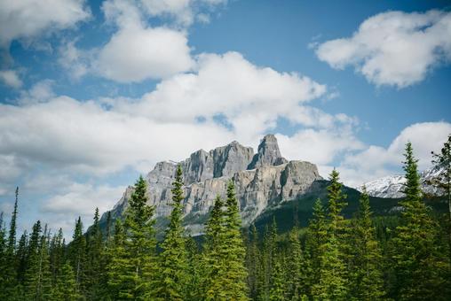 Sunny summer day in the mountains, JPG