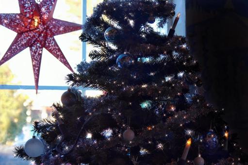 クリスマスツリーと星形のライト 2 クリスマス,クリスマスツリー,星形の写真素材