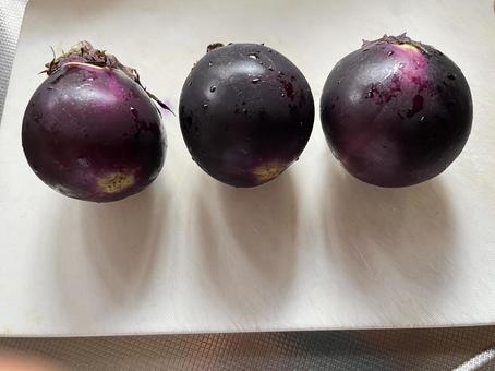 「丸ナス　３個」イメージ素材の写真