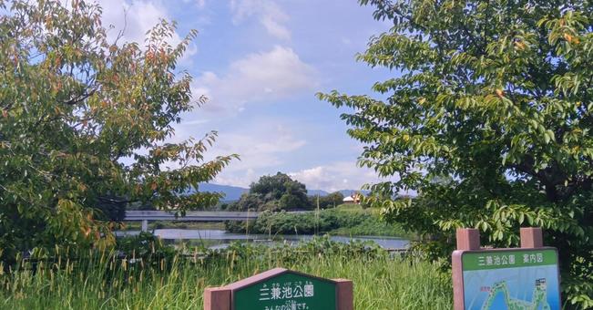 春日市 三池公園 春日市 三池公園 公園,敷地,自然の写真素材