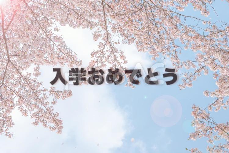 桜の背景に入学おめでとう文字 入学,おめでとう,おめでとうございますの写真素材