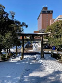 雪景色 雪景色 風景,雪景色,雪の写真素材