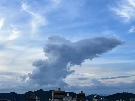 大空のくじら雲 大空のくじら雲 青空,夕空,空の写真素材