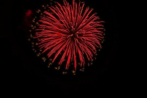 <素材>夏の夜空に打ちあがる花火 <素材>夏の夜空に打ちあがる花火の写真