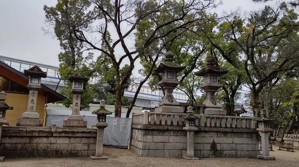 西宮神社 西宮神社 西宮神社,燈籠,植物の写真素材