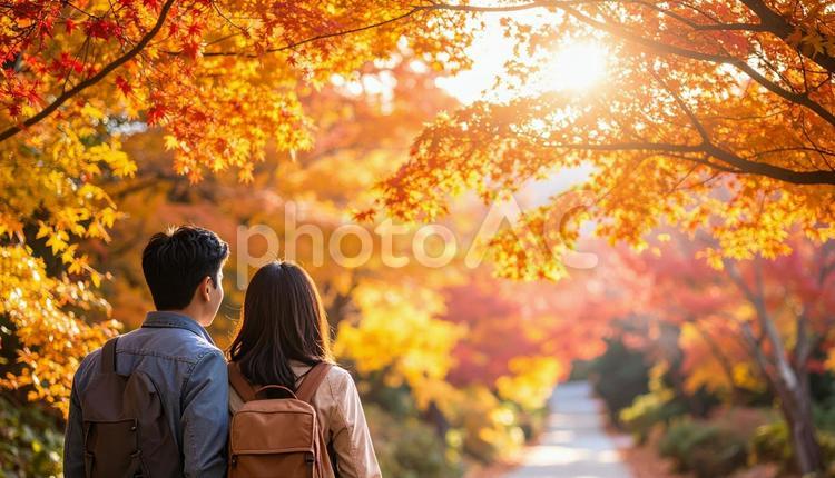 美しい紅葉を眺める夫婦の後ろ姿 紅葉,眺める,夫婦の写真素材
