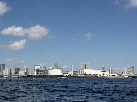 豊洲市場 豊洲市場の写真