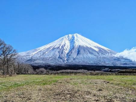 雪化粧の冬富士 富士山,雪,冬の写真素材