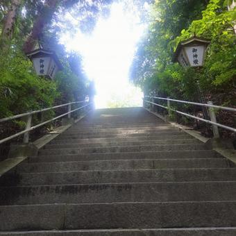 石段を登る 石段を登るの写真