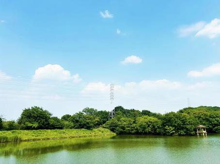 緑あふれる公園の木々と鉄塔と爽やかな青空 緑あふれる公園の木々と鉄塔と爽やかな青空 空模様,空,雲の写真素材
