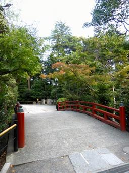 10月・鶴岡八幡宮、柳原碑前の太鼓橋 鶴岡八幡宮,橋,道の写真素材