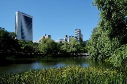 公園 公園,池,ビルの写真素材