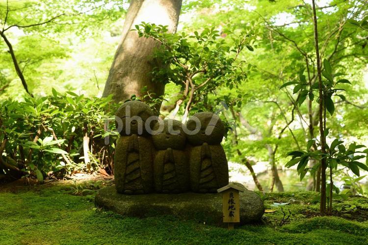新緑とお地蔵様 日本,風景,自然の写真素材