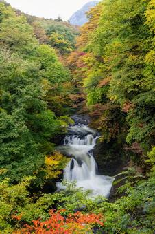 秋の鳳鳴四十八滝⑵の写真