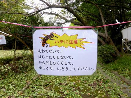 郊外の林道にて、蜂に注意の案内 郊外の林道にて、蜂に注意の案内 注意,張り紙,10月の写真素材