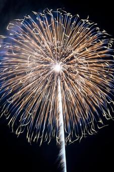 花火 花火の写真