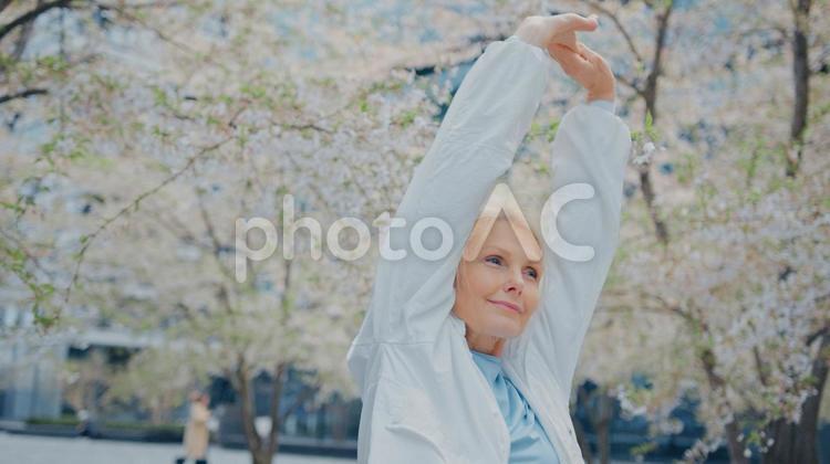 公園で伸びをして腕を伸ばすシニア女性 女性,人物,元気の写真素材